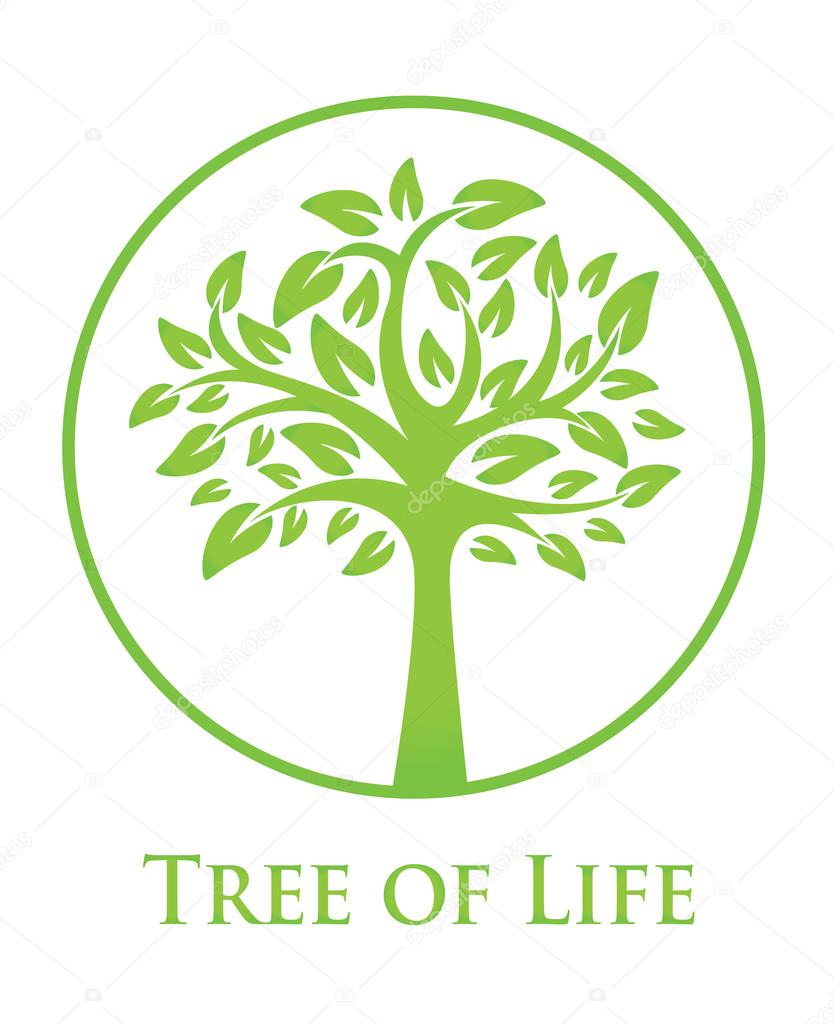 名称:象征着生命之树